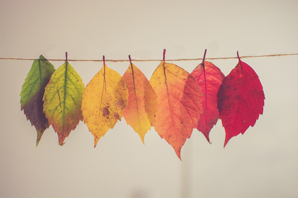 Bring Your Projects to Life with Inspiring Autumn Clipart