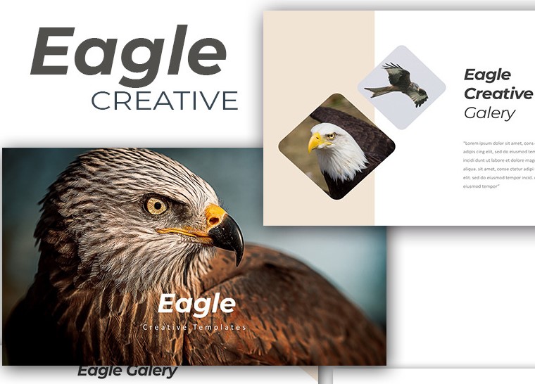 eagle creative slides
