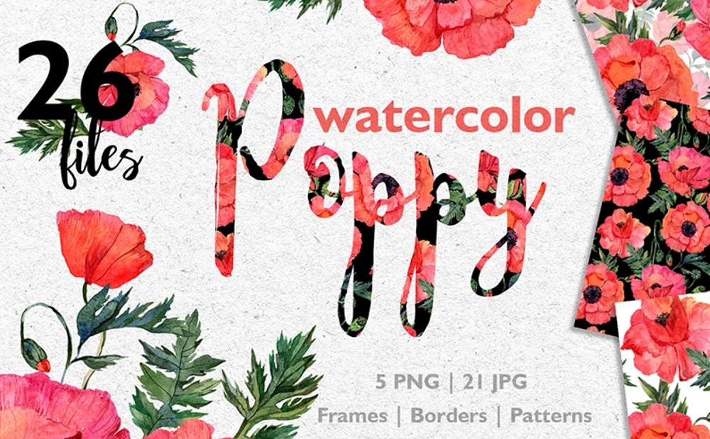Red Poppy Watercolor PNG JPG Illustration
