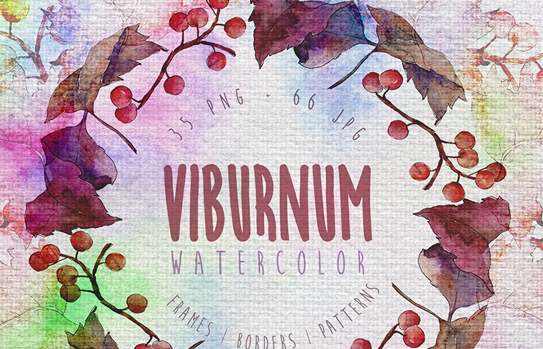 autumn viburnum illustrations