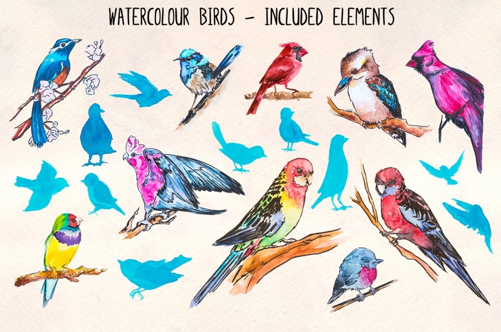 20 Colourful Watercolor Bird Graphics Illustration