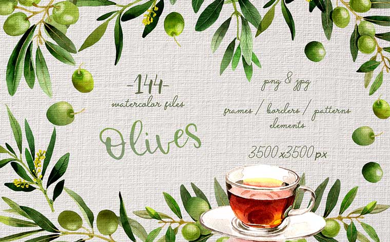Branches of Olive Tree PNG Watercolor Set Illustration.