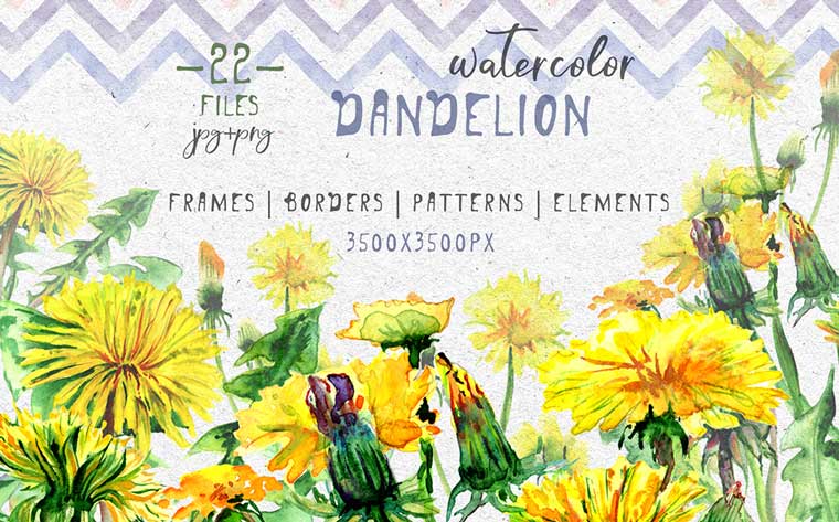 Bright Yellow Dandelion PNG Watercolor Set Illustration.