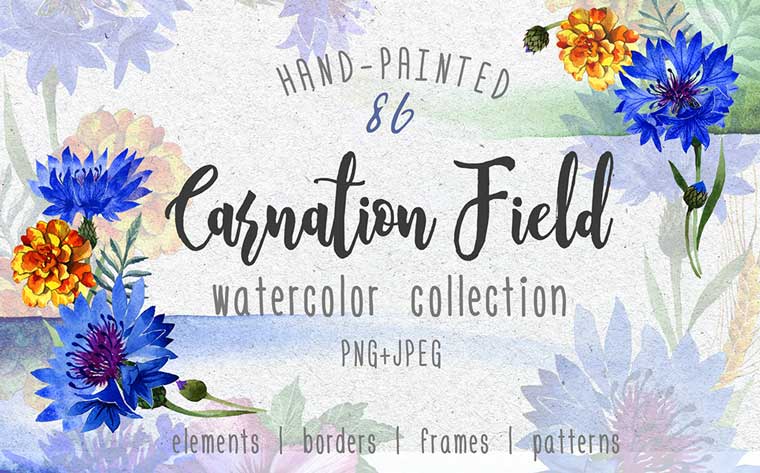 Carnation field PNG watercolor set Illustration.