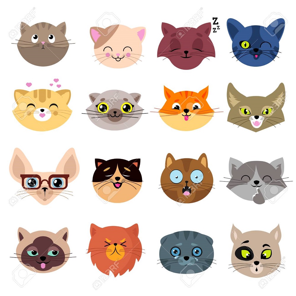 cat faces