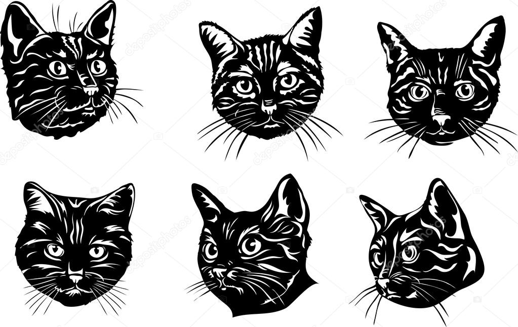 cats illustrations