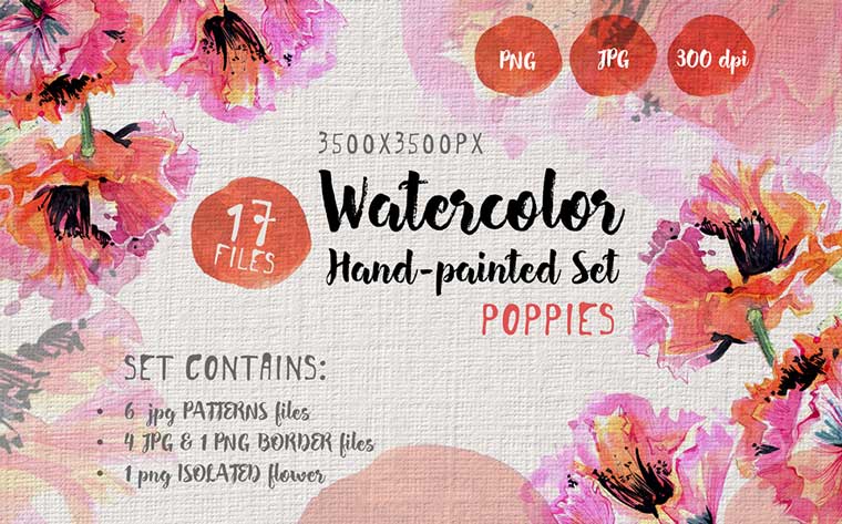 Gentle Poppies Png Watercolor Set Illustrations Bundle.