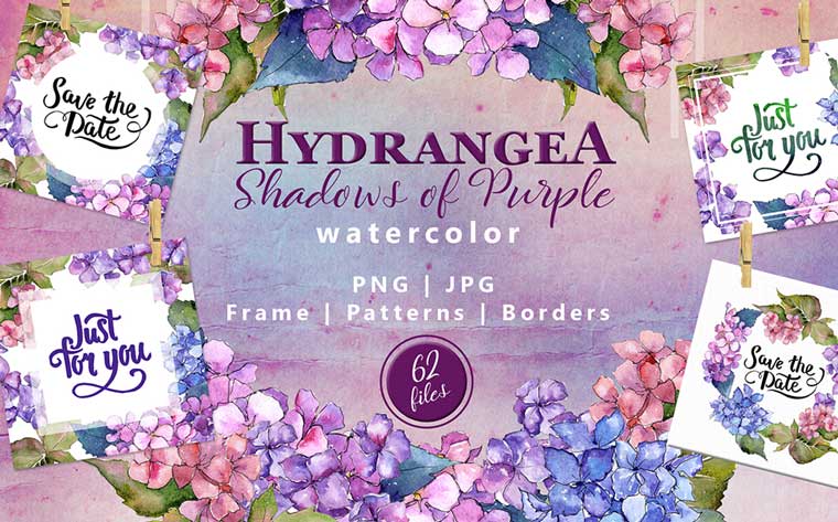 Hydrangea Png Watercolor Flower Set Illustrations Bundle.
