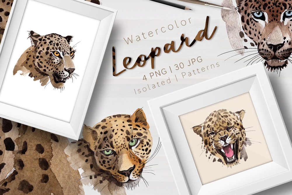 Leopard PNG Watercolor Set Illustration.