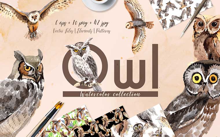 Owl Watercolor png Illustration.