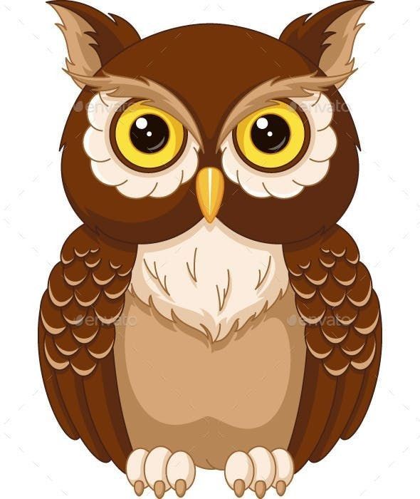 pinterest owl illustration