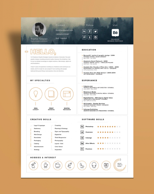 Resume Icons: Make Your Resume Elegant and Effective