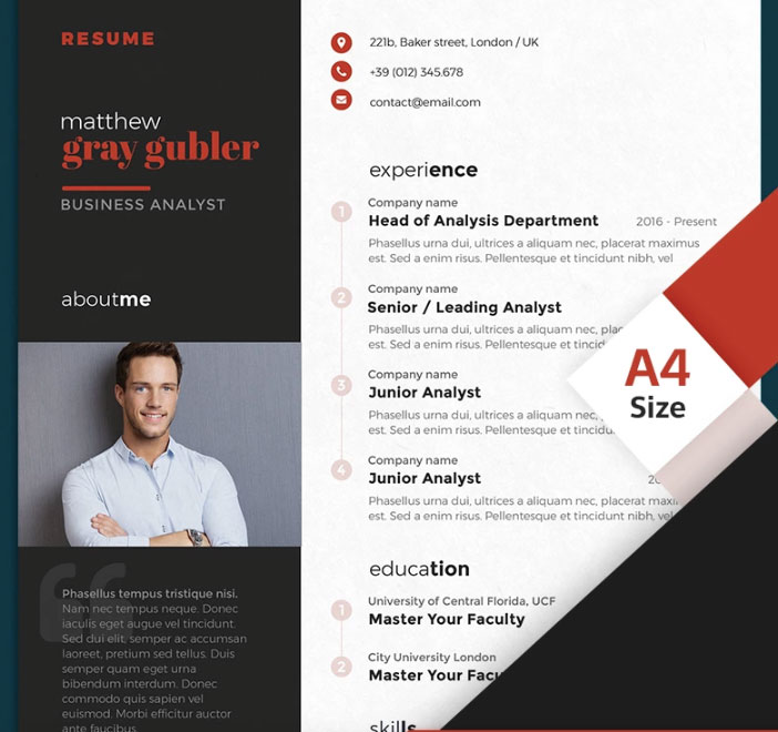 Matthew Gray Gubler Business Analyst Resume Template.