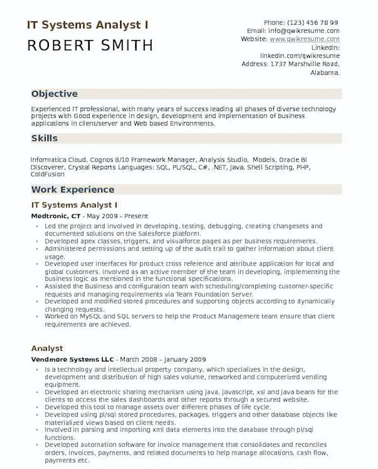 System Analyst Resume Example 1.