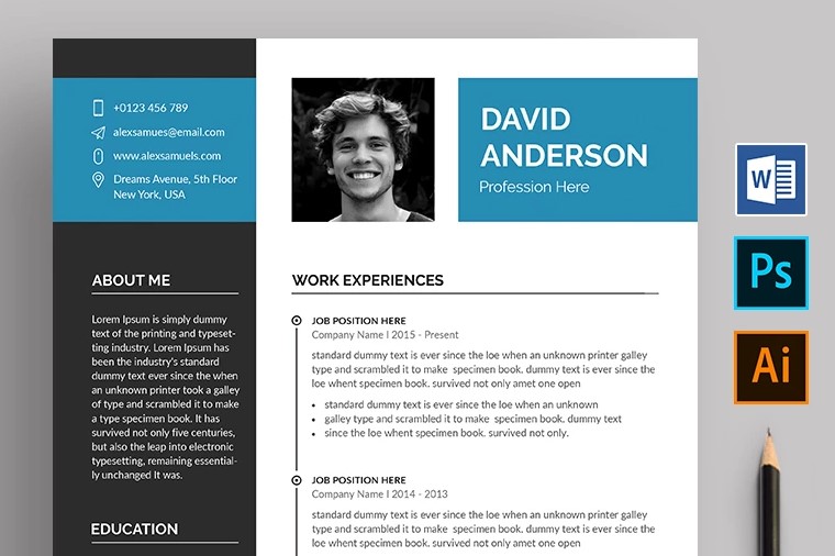 auditor resume template