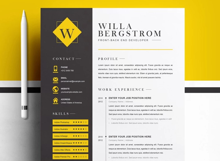 auditor resume template