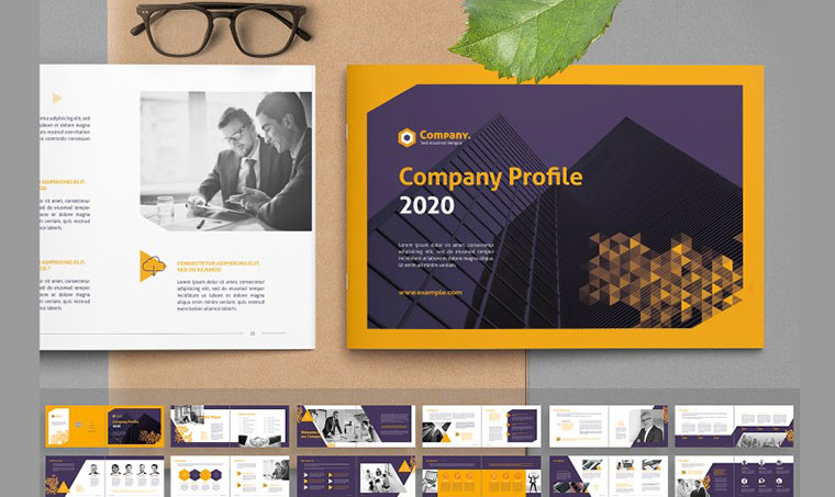 Company Profile Landscape