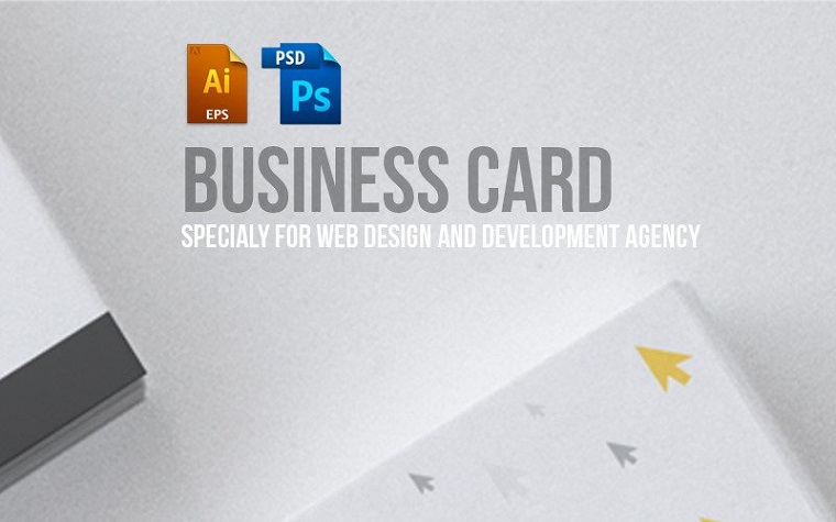 Business Card Design For Web Design And Developer PSD Template.