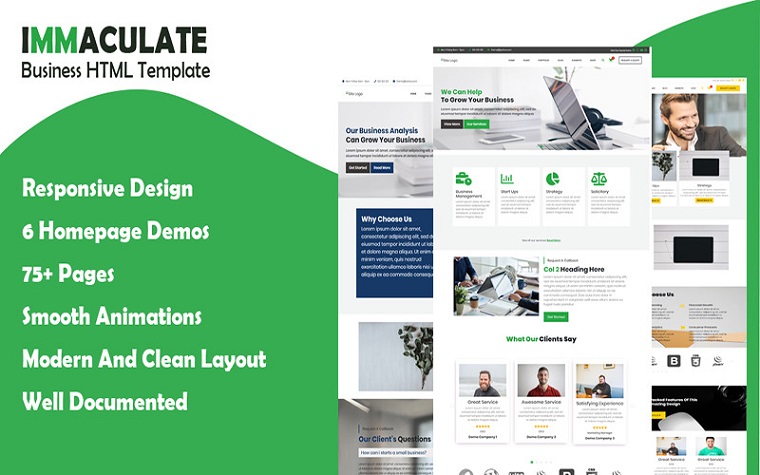 Immaculate Business Multipurpose Consulting HTML Template.