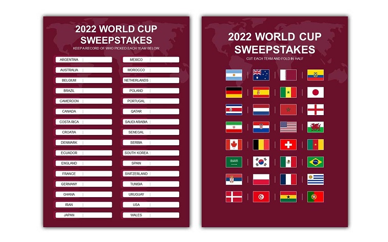 Qatar World Cup 2022 Sweepstake Kit.