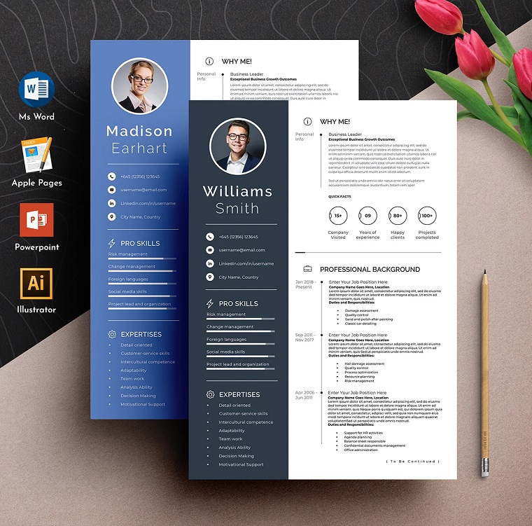 Clean & Professional Editable Cv Resume Template Word Apple Pages.