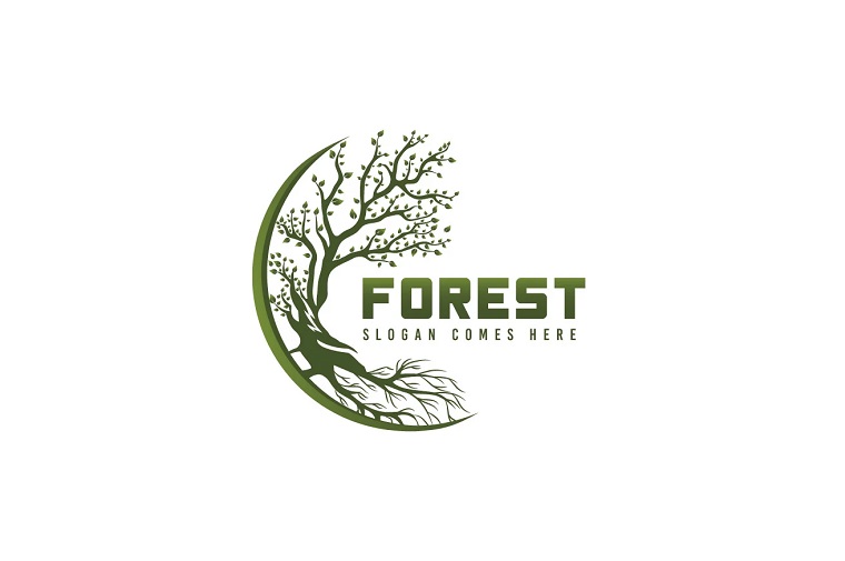 Forest Logo Template.