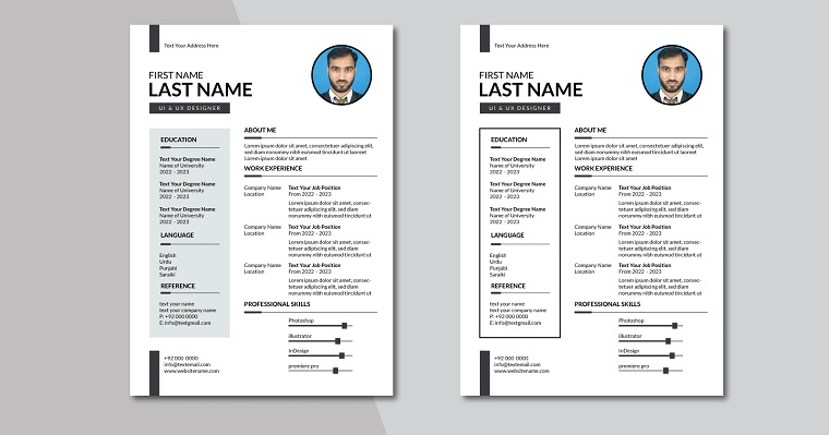 Professional Resume Template 2023.