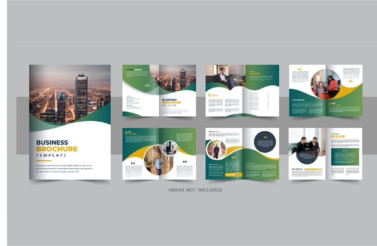 Company profile brochure design.