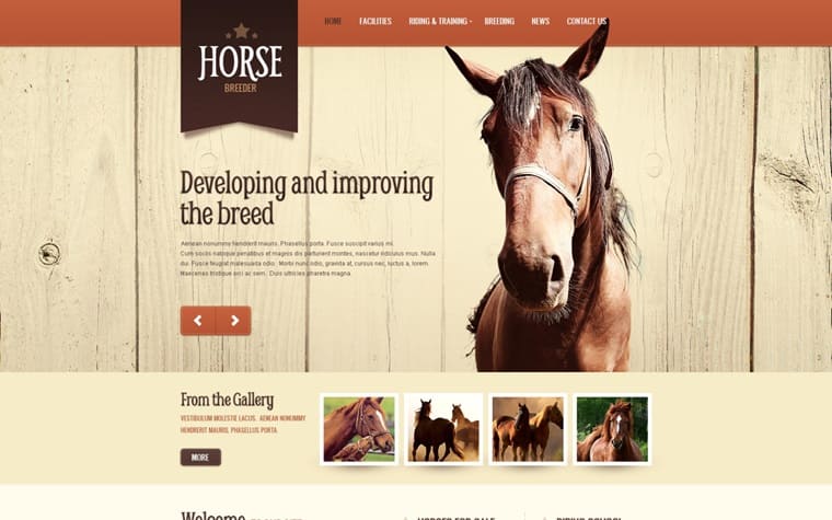 Horse Spirit Drupal Template.