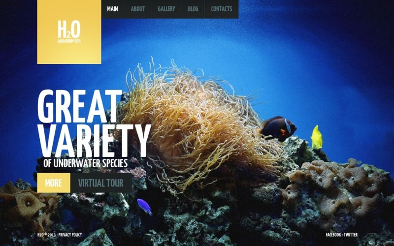 Free Fish & Piscary Website Design