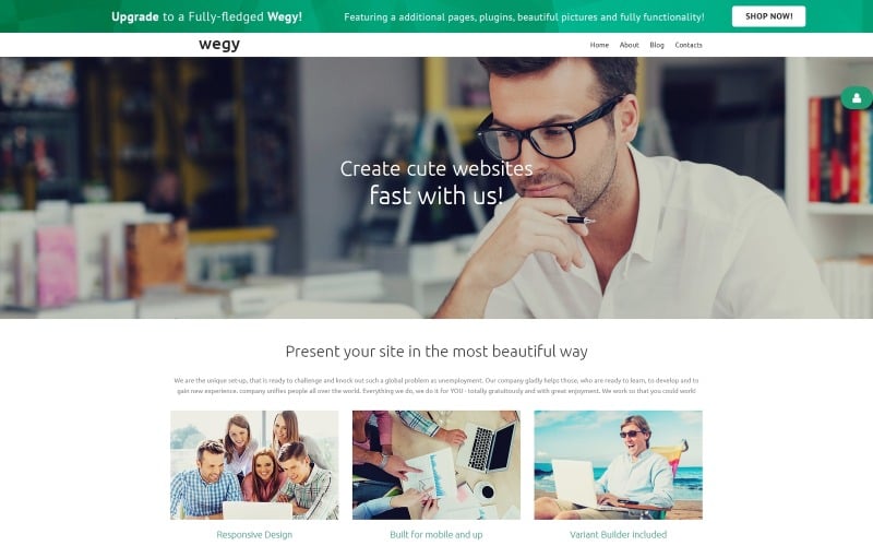 Wegy - Consulting Modern Joomla Template